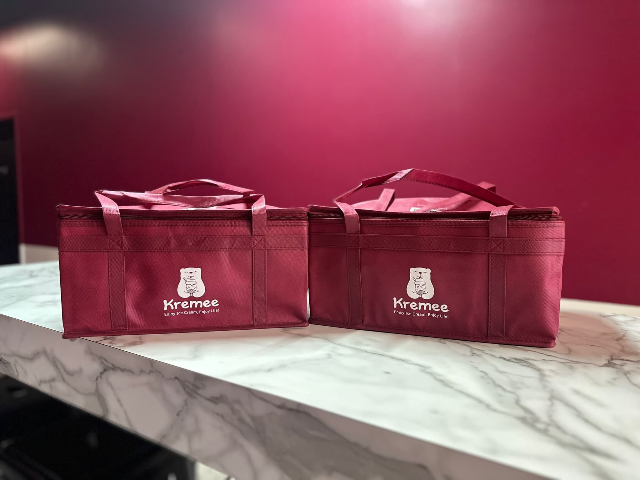 Insulated bags for storage add-on